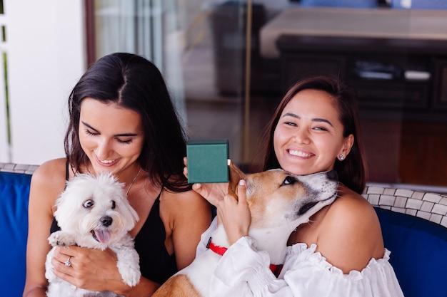 Condomínios Pet Friendly Zona Sul São Paulo: escolha ideal para pets