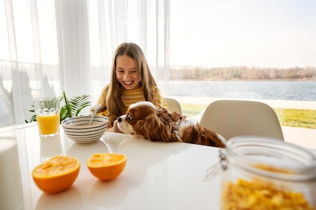 Apartamento Com Varanda Gourmet Pet Friendly Zona Sul: Surpreenda-se