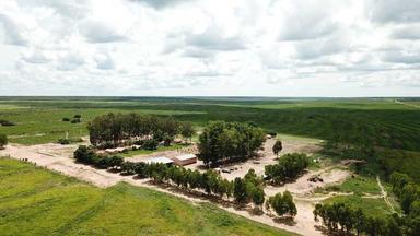 Descubra as Grandes Oportunidades de Fazenda na Bahia com a BrasilAgro